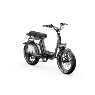 Vélo ELWING Ritmic Duo 2 cargo biplace