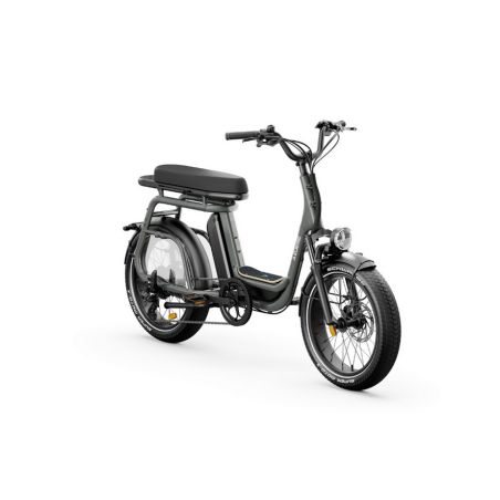 Vélo ELWING Ritmic Duo 2 cargo biplace