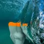 Palmes Dafin Lifeguard Gray Orange Palmes Dafin Lifeguard Gray Orange