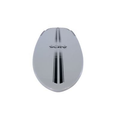 AIPA The Big Brother sting 9'0