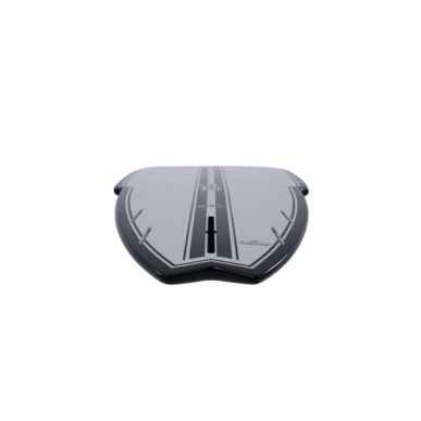 AIPA The Big Brother sting 9'0