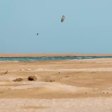 Aile Kitesurf Duotone Rebel SLS 2026