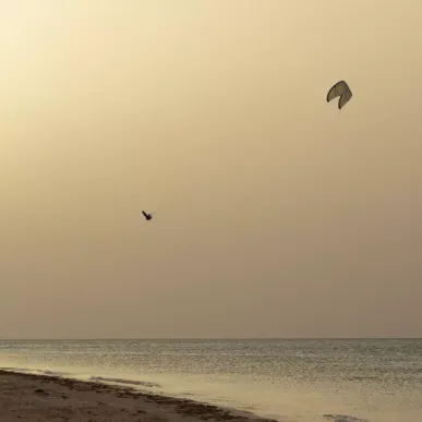 Aile Kitesurf Duotone Rebel SLS 2026