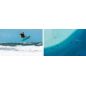 Planche Kitesurf Duotone Volt SLS 2026