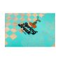 Ronix Spring Break True Flex 2026