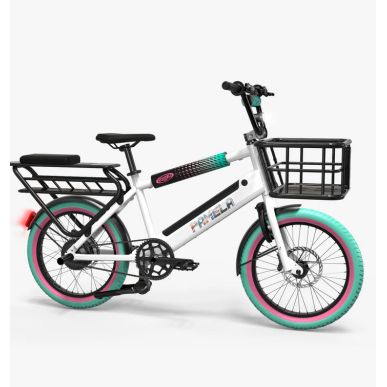 Panier Avant Cargo 25L - Pamela Bikes
