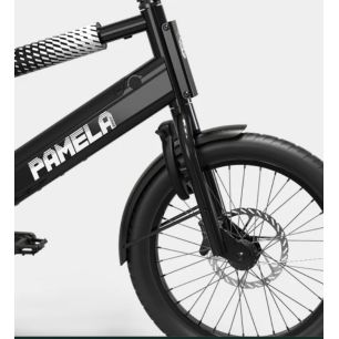 Vélo Pamela Bikes - C 17+
