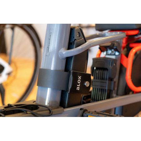 Antivol Blok Batterie